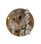 はむちゅっちゅ（個別スタンプ：6）