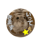 はむちゅっちゅ（個別スタンプ：7）