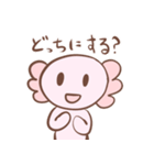 ウーパールーパーのまっしー（個別スタンプ：2）