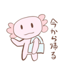 ウーパールーパーのまっしー（個別スタンプ：7）