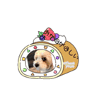 愛犬マルキャバスタンプ（個別スタンプ：1）