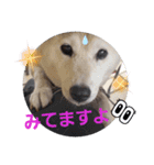 みんなと一緒 31（個別スタンプ：8）