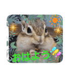 みんなと一緒 31（個別スタンプ：10）