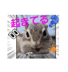 みんなと一緒 31（個別スタンプ：14）