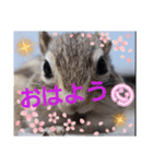 みんなと一緒 31（個別スタンプ：15）