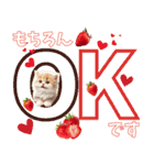 いちごとねこの長文返信スタンプ（個別スタンプ：3）
