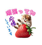 いちごとねこの長文返信スタンプ（個別スタンプ：12）