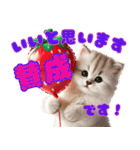 いちごとねこの長文返信スタンプ（個別スタンプ：14）