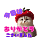 いちごとねこの長文返信スタンプ（個別スタンプ：20）