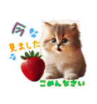 いちごとねこの長文返信スタンプ（個別スタンプ：29）