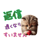 いちごとねこの長文返信スタンプ（個別スタンプ：32）