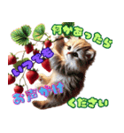いちごとねこの長文返信スタンプ（個別スタンプ：33）