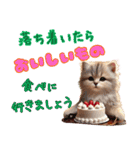 いちごとねこの長文返信スタンプ（個別スタンプ：38）