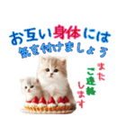 いちごとねこの長文返信スタンプ（個別スタンプ：40）