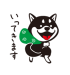 クロシバマニア2／あいさつ 柴犬（個別スタンプ：1）