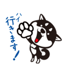 クロシバマニア2／あいさつ 柴犬（個別スタンプ：3）