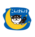 クロシバマニア2／あいさつ 柴犬（個別スタンプ：4）