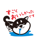 クロシバマニア2／あいさつ 柴犬（個別スタンプ：6）