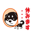 クロシバマニア2／あいさつ 柴犬（個別スタンプ：11）
