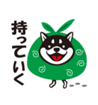 クロシバマニア2／あいさつ 柴犬（個別スタンプ：13）