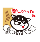 クロシバマニア2／あいさつ 柴犬（個別スタンプ：15）