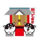 クロシバマニア2／あいさつ 柴犬（個別スタンプ：20）