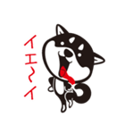 クロシバマニア2／あいさつ 柴犬（個別スタンプ：23）