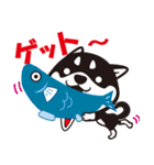クロシバマニア2／あいさつ 柴犬（個別スタンプ：24）