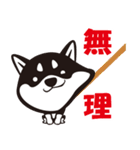 クロシバマニア2／あいさつ 柴犬（個別スタンプ：25）