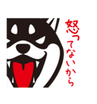 クロシバマニア2／あいさつ 柴犬（個別スタンプ：27）