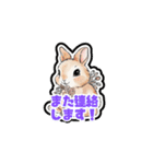 【敬語で挨拶】春色うさぎちゃん（個別スタンプ：6）