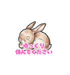 【敬語で挨拶】春色うさぎちゃん（個別スタンプ：17）