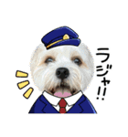 愛犬マルキャバスタンプ2（個別スタンプ：11）