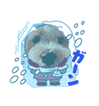愛犬マルキャバスタンプ2（個別スタンプ：12）