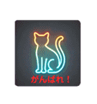 開運キラキラ猫（個別スタンプ：20）