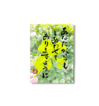 yocco babaの想い…（個別スタンプ：1）