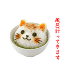 ねこまんま、さらっと一言（個別スタンプ：1）