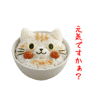 ねこまんま、さらっと一言（個別スタンプ：8）