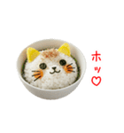 ねこまんま、さらっと一言（個別スタンプ：10）