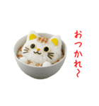 ねこまんま、さらっと一言（個別スタンプ：19）