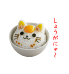 ねこまんま、さらっと一言（個別スタンプ：20）