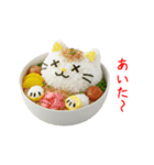 ねこまんま、さらっと一言（個別スタンプ：24）