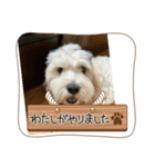 マルキャバスタンプ（個別スタンプ：2）