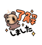 丸い犬の顔スタンプ（個別スタンプ：1）