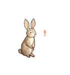 もりのどうぶつスタンプ（個別スタンプ：7）