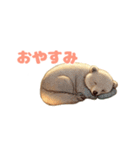 もりのどうぶつスタンプ（個別スタンプ：12）