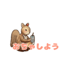 もりのどうぶつスタンプ（個別スタンプ：32）
