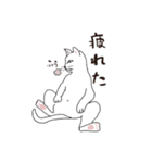 猫やんの日常（個別スタンプ：2）