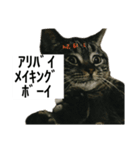 うちのゲベナマいんぐりっしゅ（個別スタンプ：1）