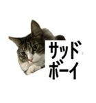うちのゲベナマいんぐりっしゅ（個別スタンプ：9）